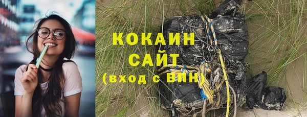 индика Лиски