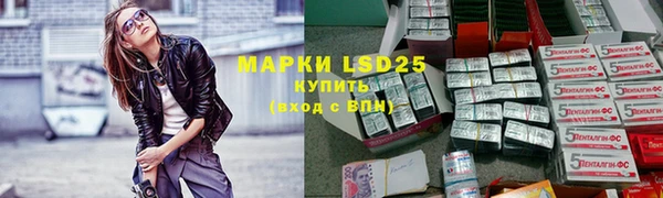 индика Лиски