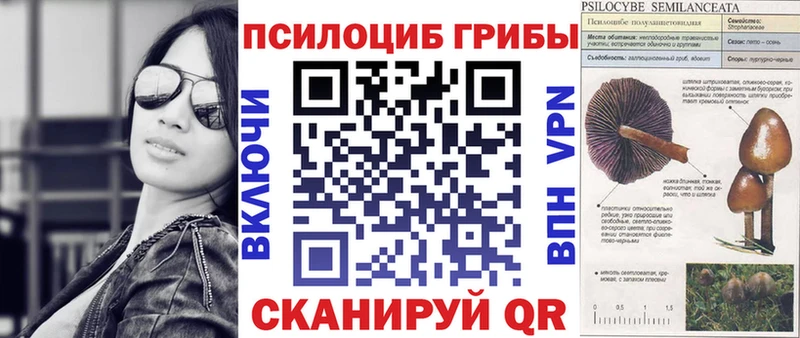 Галлюциногенные грибы прущие грибы  цены   Циолковский 